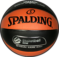 Spalding Game Balls