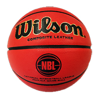 WILSON Basketballs